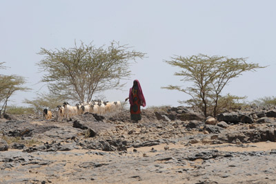Worldwide droughts, like that in a village northeast of Nairobi, expose rural communities to food shortages.