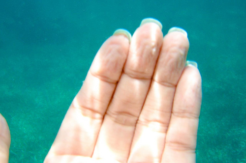 Wrinkled Fingertips